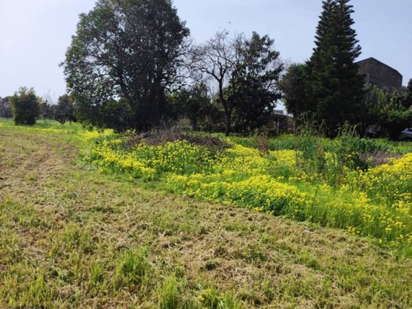 terreno agricolo in vendita a Capua