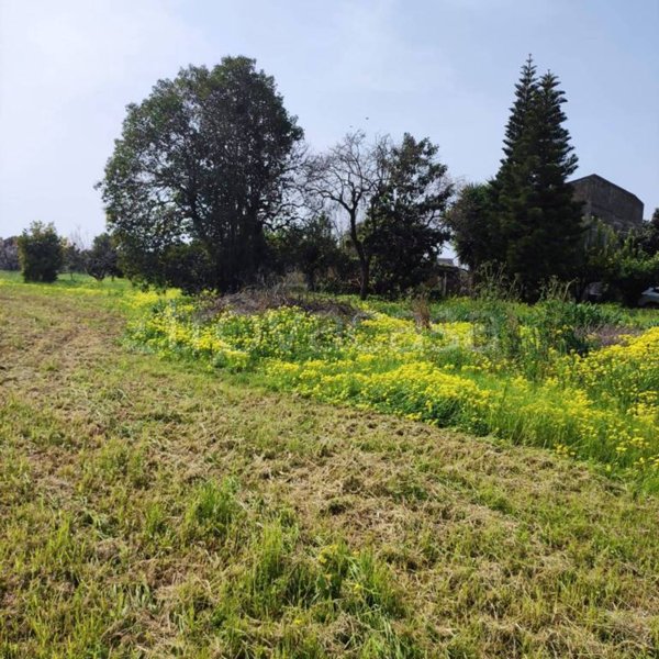 terreno agricolo in vendita a Capua