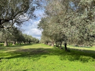 terreno agricolo in vendita a Capua in zona Sant'Angelo in Formis