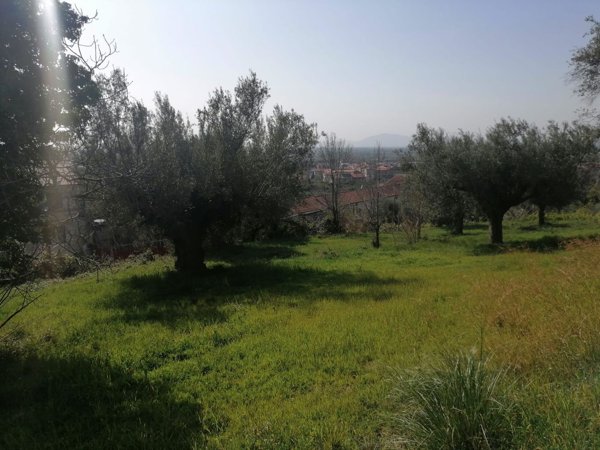 terreno edificabile in vendita a Capua in zona Sant'Angelo in Formis