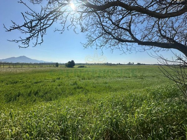 terreno agricolo in vendita a Capua