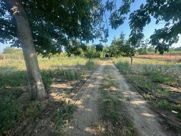 terreno edificabile in vendita a Carinaro