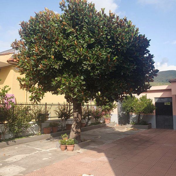 casa indipendente in vendita a Carinola in zona Casanova