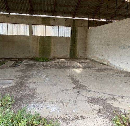 immagine annuncio 0 di 15