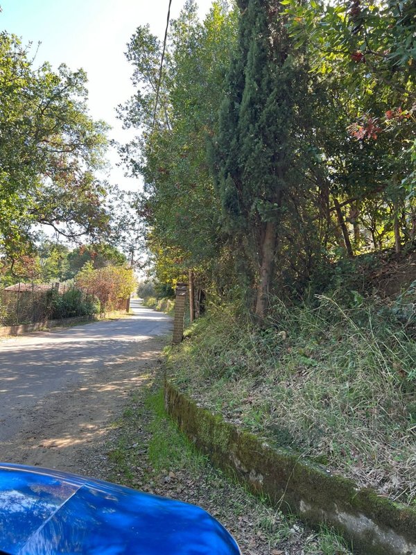 terreno agricolo in vendita a Carinola in zona Casanova