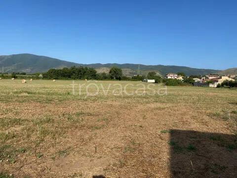 terreno agricolo in vendita a Carinola in zona Santa Croce