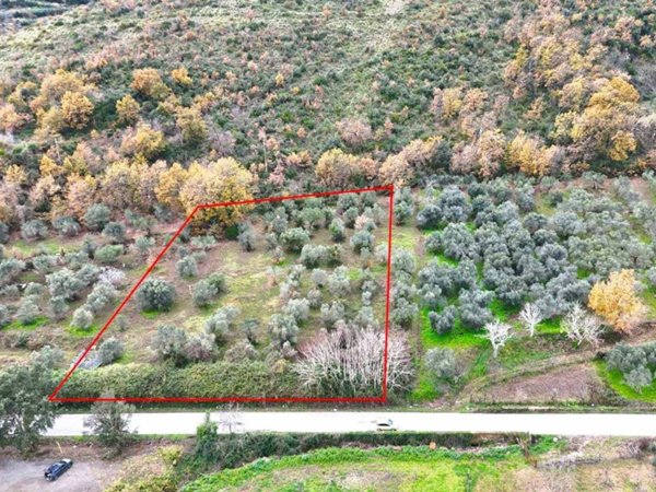 terreno agricolo in vendita a Carinola in zona Casanova