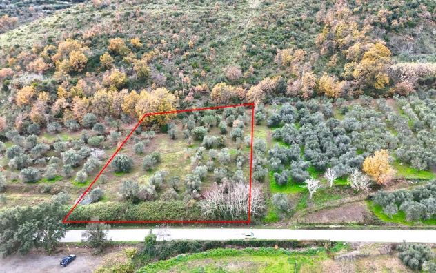 terreno edificabile in vendita a Carinola in zona Casanova