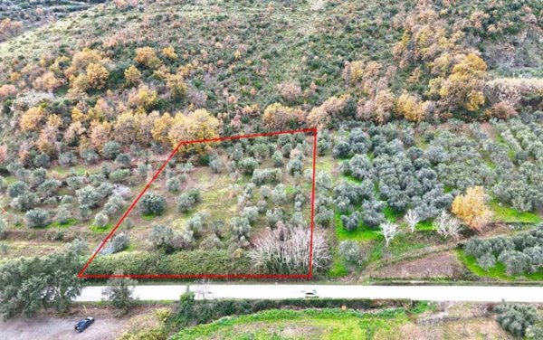 terreno edificabile in vendita a Carinola in zona Casanova