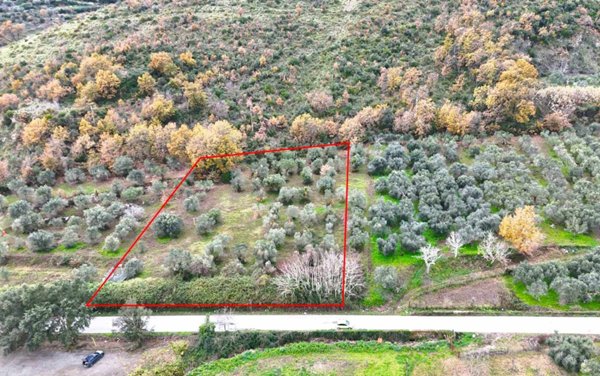 terreno edificabile in vendita a Carinola in zona Casanova