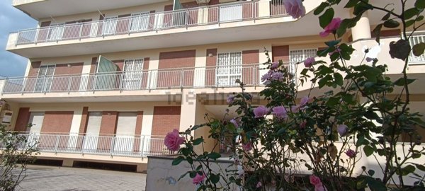 appartamento in vendita a Casagiove