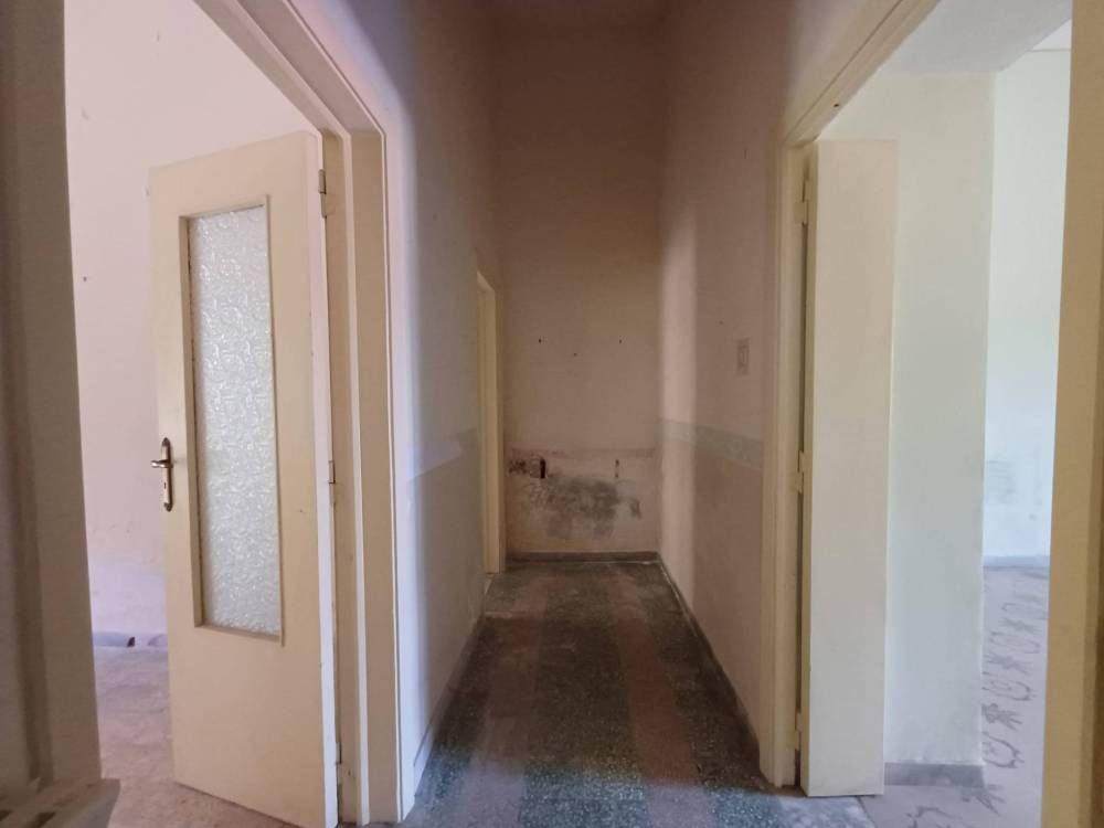 immagine annuncio 0 di 13