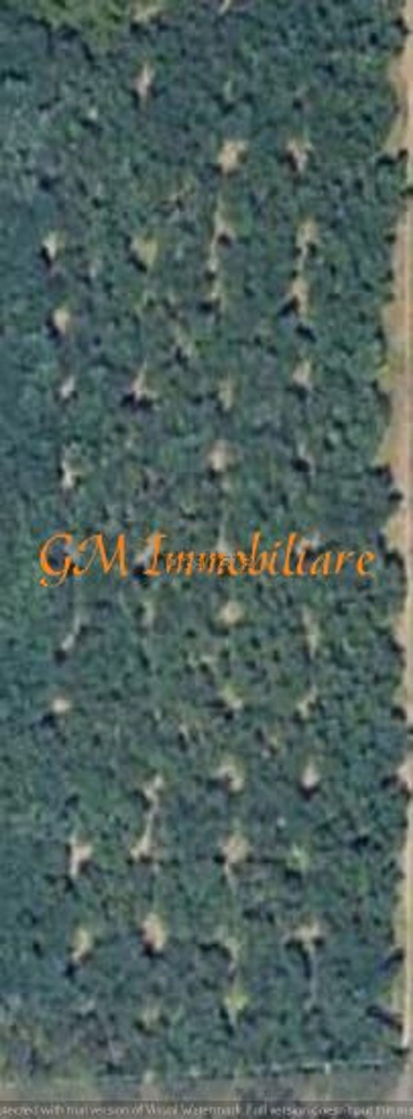 terreno agricolo in vendita a Casagiove