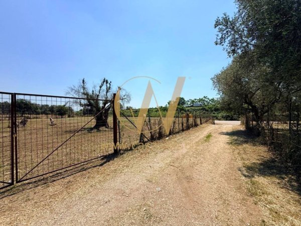 terreno agricolo in vendita a Casagiove