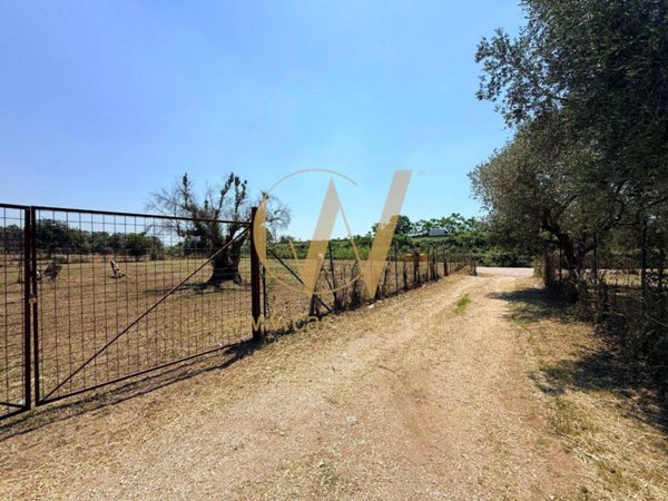 terreno agricolo in vendita a Casagiove