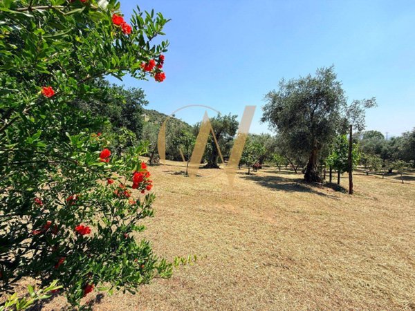terreno agricolo in vendita a Casagiove