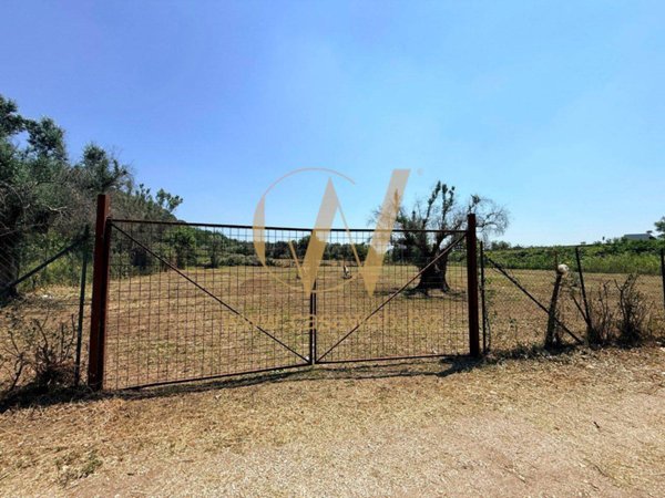 terreno agricolo in vendita a Casagiove