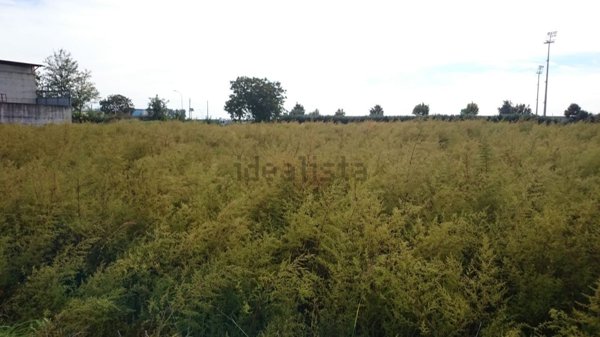 terreno agricolo in vendita a Casal di Principe