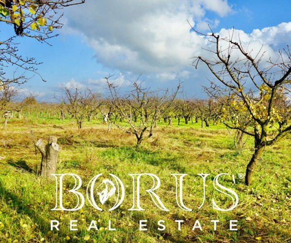 immagine annuncio 0 di 1