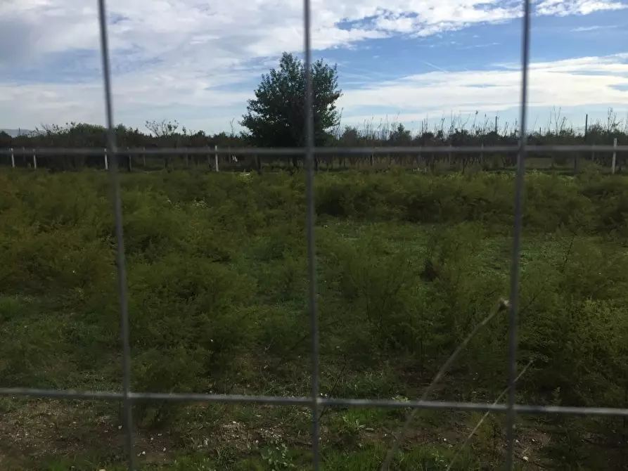 terreno agricolo in vendita a Casaluce