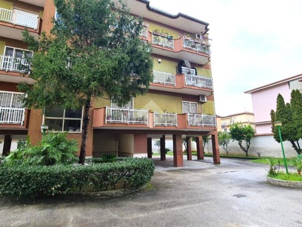 appartamento in vendita a Casapulla