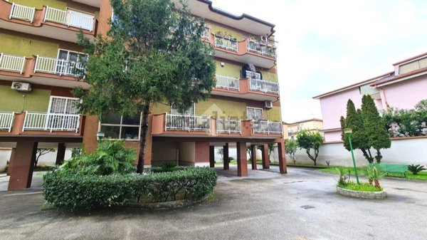 appartamento in vendita a Casapulla