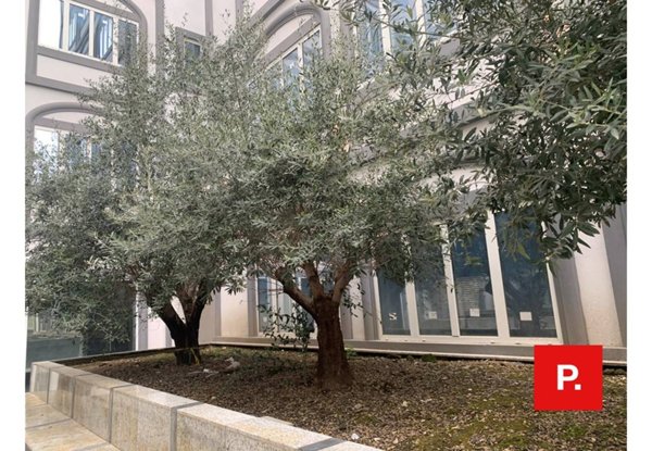 appartamento in vendita a Caserta
