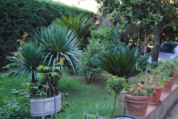 casa indipendente in vendita a Caserta in zona San Clemente