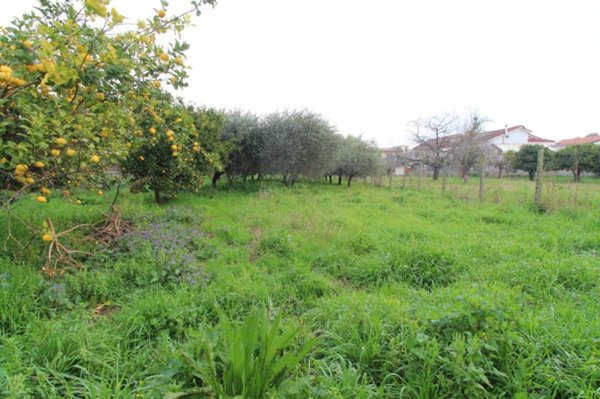 terreno agricolo in vendita a Caserta in zona Briano