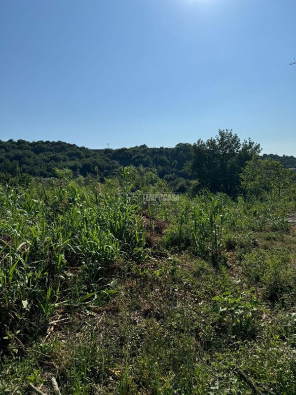 terreno agricolo in vendita a Caserta in zona Garzano