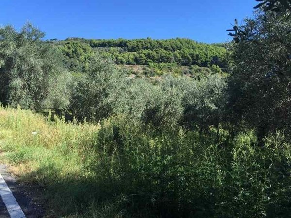 terreno agricolo in vendita a Caserta in zona Mezzano