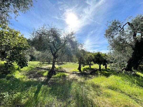terreno agricolo in vendita a Caserta in zona Briano