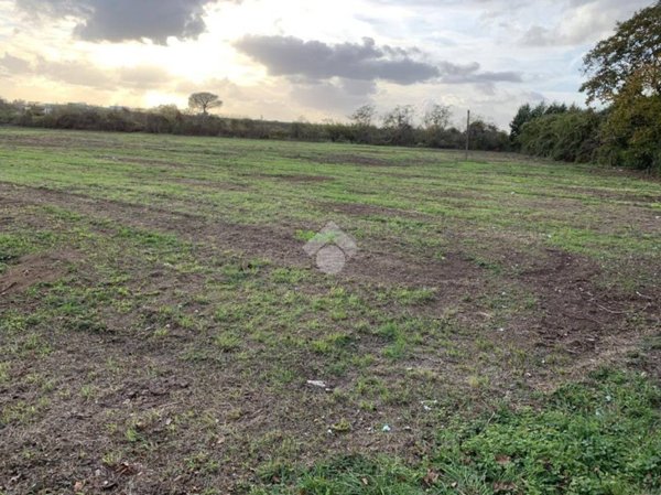 terreno agricolo in vendita a Caserta