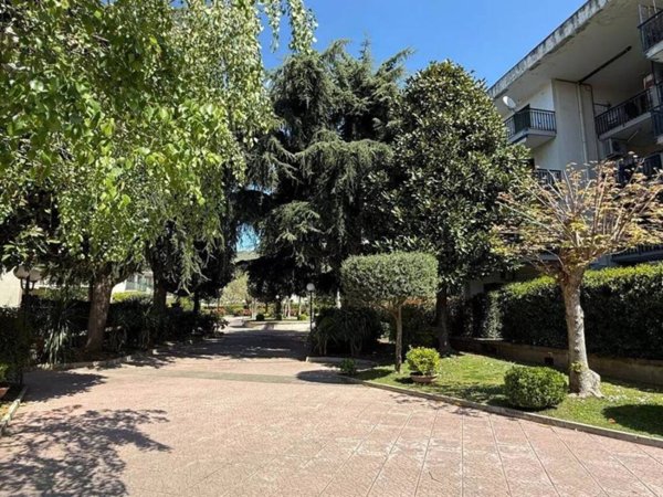 appartamento in vendita a Caserta in zona Centurano/Cerasole