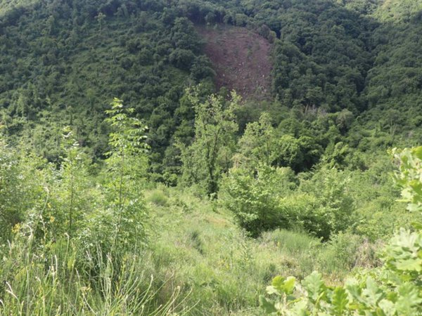 terreno agricolo in vendita a Caserta