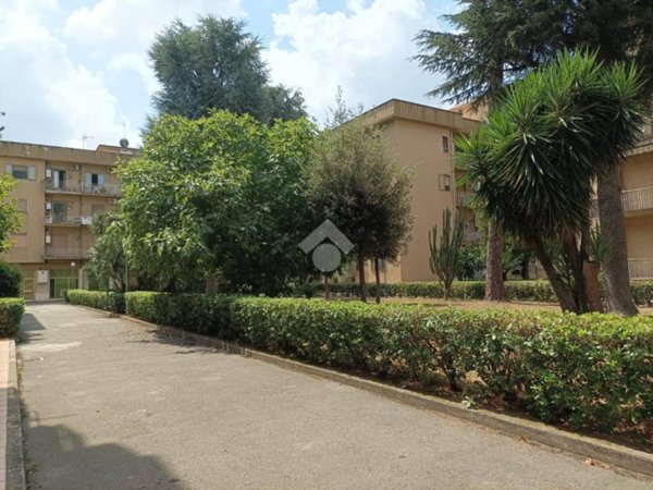 appartamento in vendita a Caserta