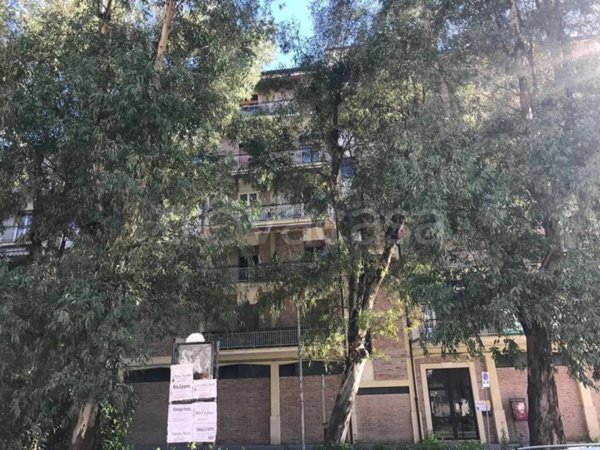 appartamento in vendita a Caserta