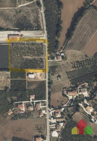 negozio in vendita a Caserta in zona Puccianiello