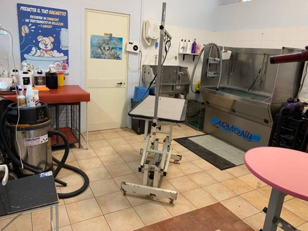 negozio in vendita a Caserta in zona Centurano/Cerasole