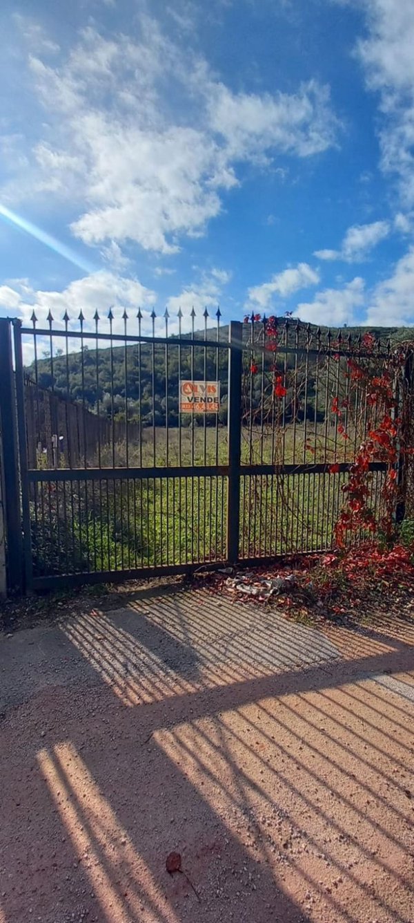 terreno agricolo in vendita a Caserta in zona San Leucio