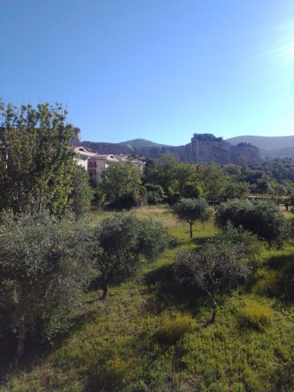 terreno agricolo in vendita a Caserta in zona Centurano/Cerasole