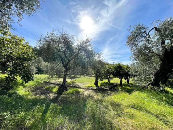 terreno agricolo in vendita a Caserta in zona Briano