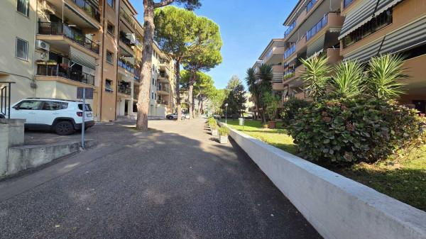 appartamento in vendita a Caserta in zona San Clemente