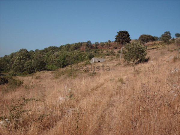 terreno edificabile in vendita a Caserta in zona Casola