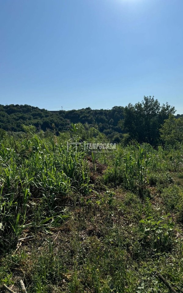 terreno agricolo in vendita a Caserta in zona Centro Città