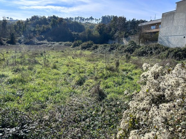 terreno agricolo in vendita a Caserta in zona Casola