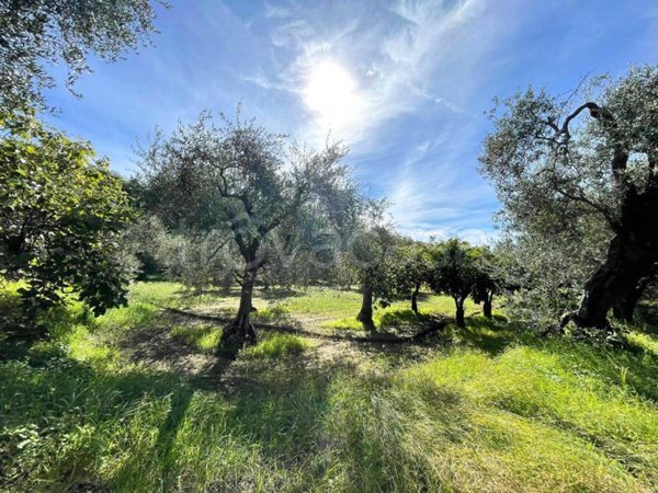 terreno agricolo in vendita a Caserta in zona Briano