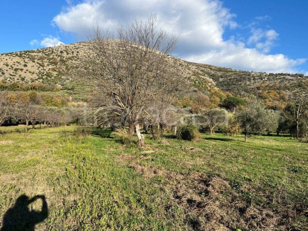terreno agricolo in vendita a Caserta in zona Garzano