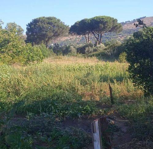 terreno agricolo in vendita a Caserta in zona Santa Barbara / Tuoro