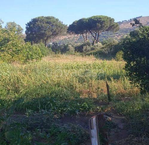 terreno agricolo in vendita a Caserta in zona Santa Barbara / Tuoro